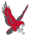 image-5z3v02f3246sq93