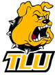 image-1ztvu0f03xns5s2
