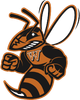 image-go6v72f9w7bstnv