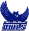 image-go6v72f9wv0stnv