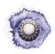 image-sybadn8zopgowhq