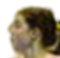 image-o8tzjgtz75aaw47