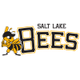 image-7au4xbzz742r31c