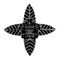 image-7au4xbzzmdqr31c