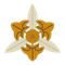 image-o8tzjqw65jnn006