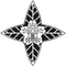 image-y3d7s60zle9sq93
