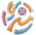 image-7au4xboa5yjs31c