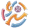 image-7au4xboa5yjs31c