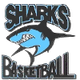 image-54cvb3x0djbnl7t