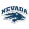 image-54cvb3x0g88nl7t