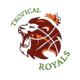 image-54cvb3xv4nmnl7t
