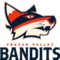 image-54cvb3xvvx1nl7t