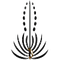 image-5z3v0rx0t3hnq93