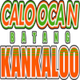image-623z2pxv3v3nt8p