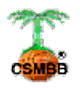 image-7xdat3x52ksr35v