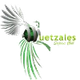image-7xdat3xlo8cr35v