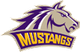 image-87dyw5oa0ehni6u