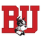 image-2wogs0bav2or1xj