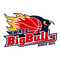 image-g38gsx5a32bnl7t