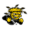 image-gk7ae9xftygs6iv
