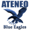 image-go6v79x1mg4ntnv
