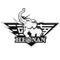 image-hesv5mx61p2sdxd