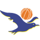 image-hesv5mx6togsdxd