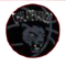 image-hesv5mx6tpgsdxd
