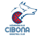 image-jz5xx7kal50rbib