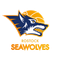 image-n97ak0xfhybsjyf