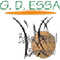 image-o6jamax06jss3t6