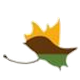 image-o6jamax0l0os3t6