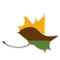 image-o6jamax0l0os3t6