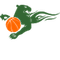 image-o6jamaxv9ybs3t6