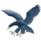image-o6jamaxvdnjs3t6