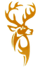 image-b44vv6x20y9ntsd