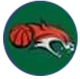 image-b44vv6x2xeqntsd