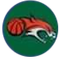 image-b44vv6x2xeqntsd