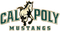 image-bm0nxicao5hs3t6
