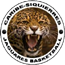 image-c467w8rag53nt8p