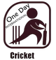 image-2wogs0njok4s1xj