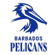 image-5z3v0zg0ozamwu6