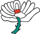 image-9zuz95g7h0sqvm3