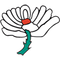 image-1ztvu5gnw2qn5s2