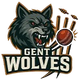 image-hesv58grh085rhu
