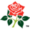 image-o8tzjmg5s4ss006