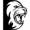 image-cq0afrgqhjgzv78