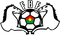 image-2wogs0koxx2s1xj
