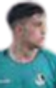 image-623z28l1lyzzvx5