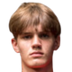 image-go6v7il5tx32rxk